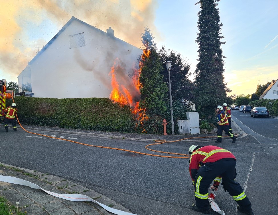 20250429_193957_resized zugeschnitten.jpg